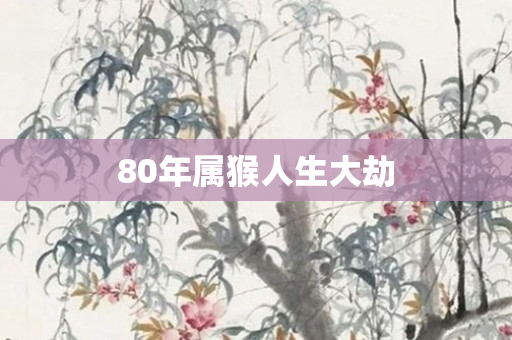 80年属猴人生大劫