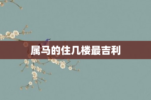 属马的住几楼最吉利