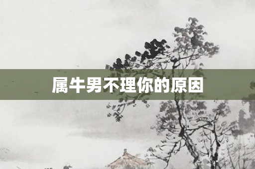 属牛男不理你的原因