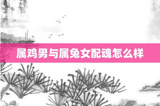 属鸡男与属兔女配魂怎么样