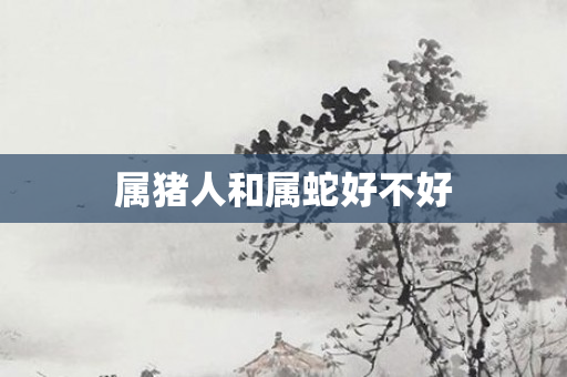 属猪人和属蛇好不好
