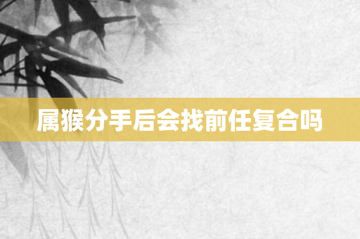 属猴分手后会找前任复合吗