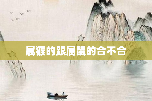 属猴的跟属鼠的合不合