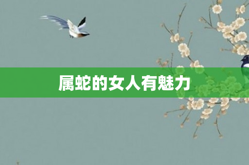 属蛇的女人有魅力
