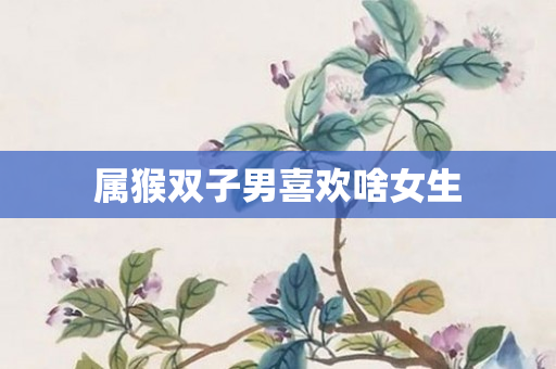 属猴双子男喜欢啥女生
