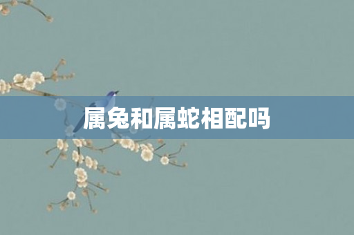 属兔和属蛇相配吗