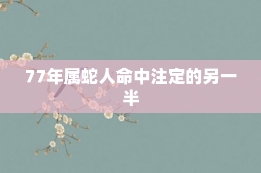 77年属蛇人命中注定的另一半