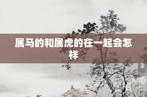 属马的和属虎的在一起会怎样