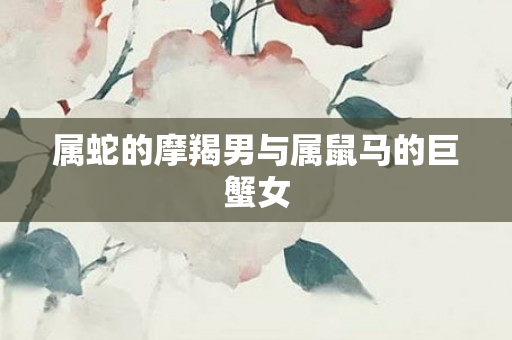 属蛇的摩羯男与属鼠马的巨蟹女