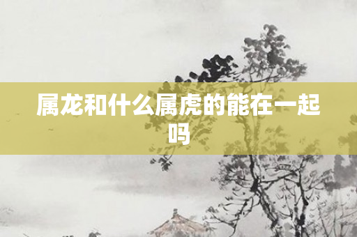 属龙和什么属虎的能在一起吗