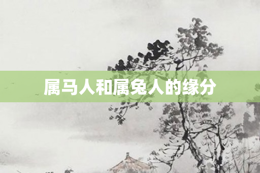 属马人和属兔人的缘分