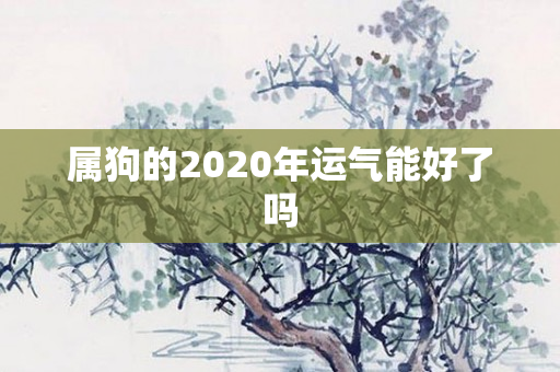 属狗的2020年运气能好了吗
