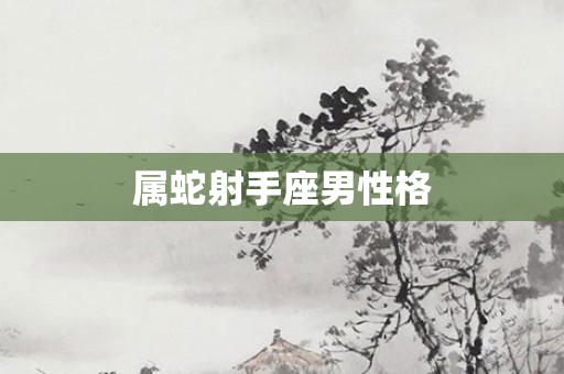 属蛇射手座男性格