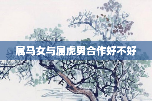 属马女与属虎男合作好不好