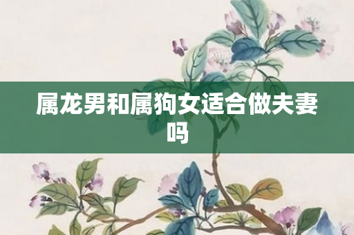 属龙男和属狗女适合做夫妻吗