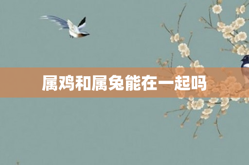 属鸡和属兔能在一起吗
