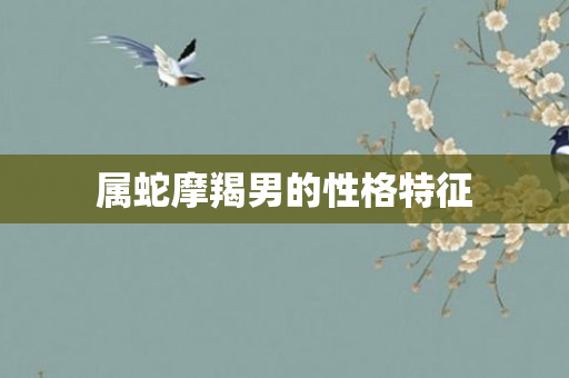 属蛇摩羯男的性格特征