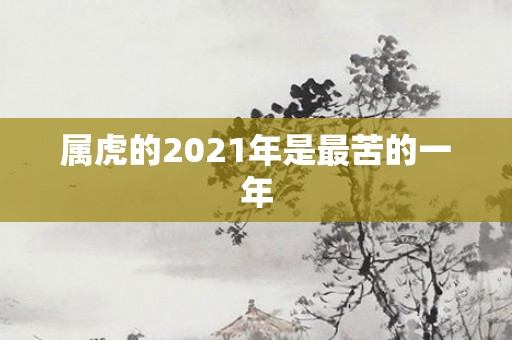 属虎的2021年是最苦的一年