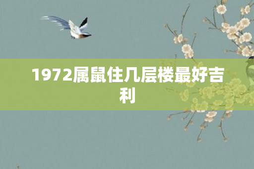 1972属鼠住几层楼更好吉利