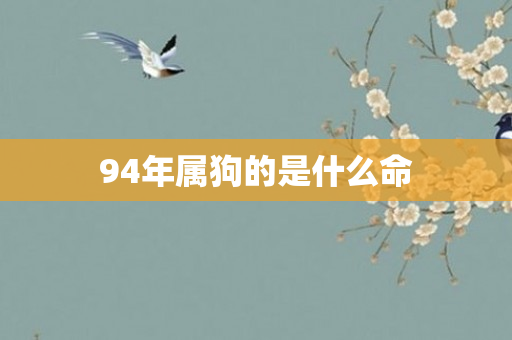 94年属狗的是什么命