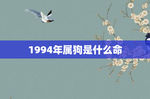 1994年属狗是什么命