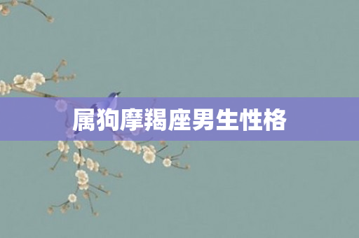 属狗摩羯座男生性格