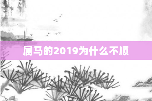属马的2019为什么不顺