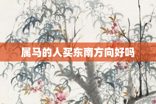 属马的人买东南方向好吗