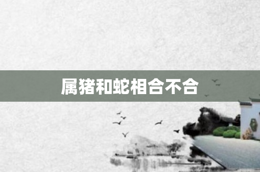 属猪和蛇相合不合