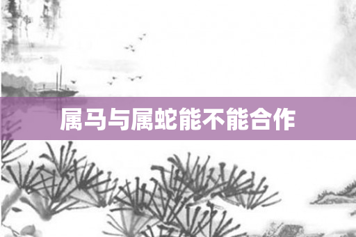 属马与属蛇能不能合作
