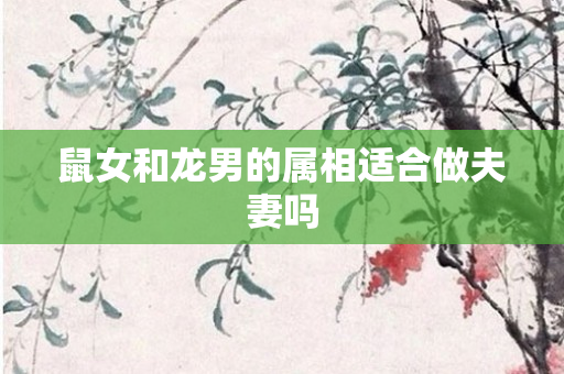 鼠女和龙男的属相适合做夫妻吗