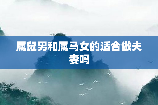 属鼠男和属马女的适合做夫妻吗