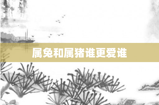 属兔和属猪谁更爱谁