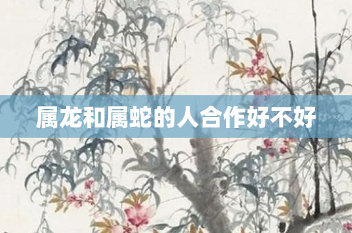 属龙和属蛇的人合作好不好