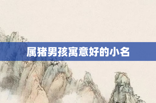 属猪男孩寓意好的小名