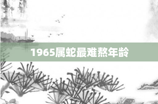 1965属蛇最难熬年龄