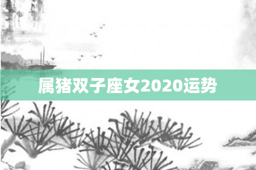 属猪双子座女2020运势