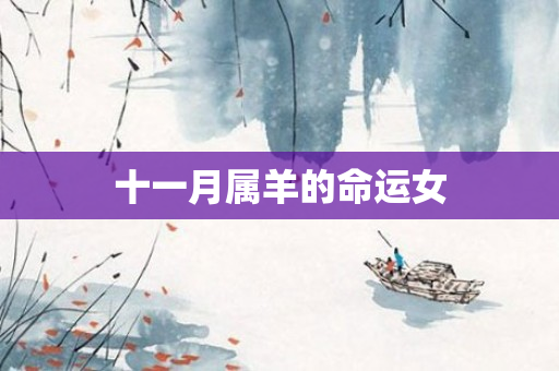 十一月属羊的命运女