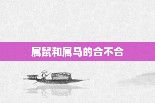 属鼠和属马的合不合