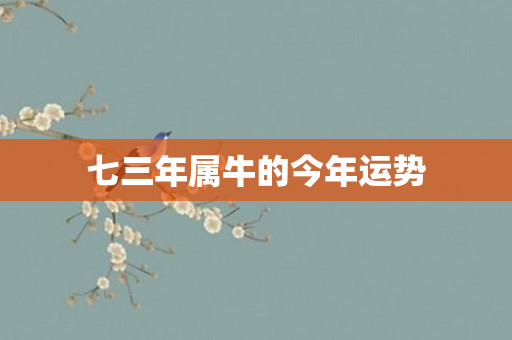 七三年属牛的今年运势