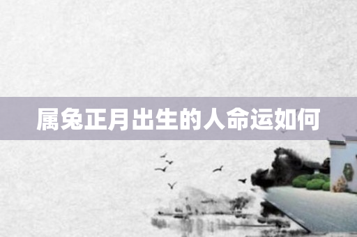 属兔正月出生的人命运如何