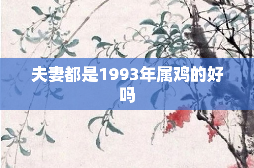 夫妻都是1993年属鸡的好吗