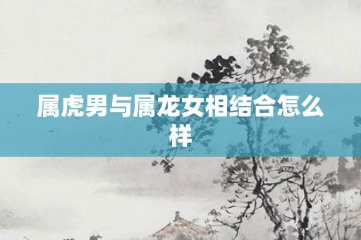 属虎男与属龙女相结合怎么样