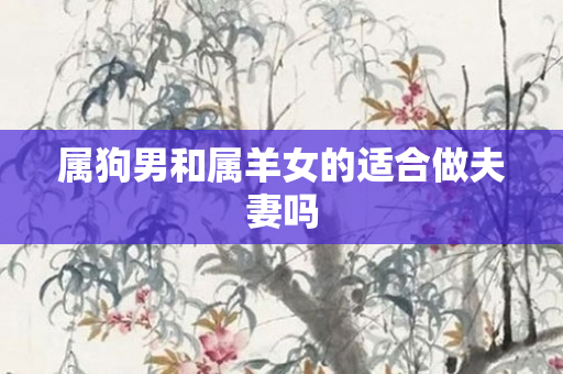 属狗男和属羊女的适合做夫妻吗