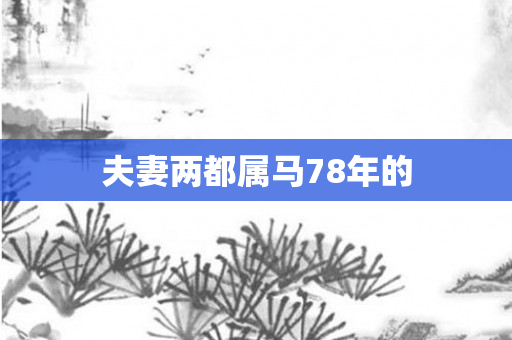 夫妻两都属马78年的