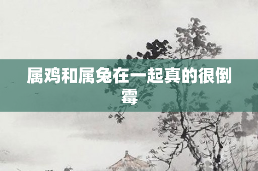 属鸡和属兔在一起真的很倒霉