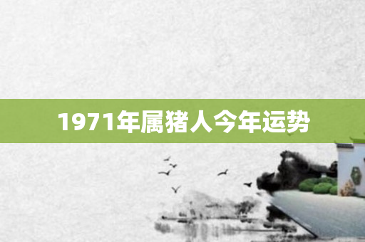 1971年属猪人今年运势