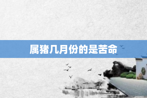 属猪几月份的是苦命