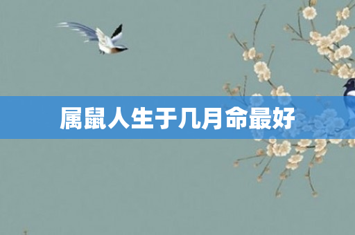 属鼠人生于几月命更好