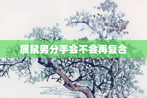 属鼠男分手会不会再复合